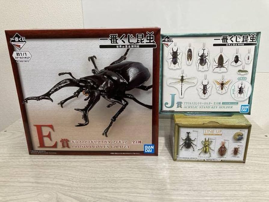 Amazon.co.jp: 一番くじ 昆虫くじ 世界の昆虫博物館 E賞